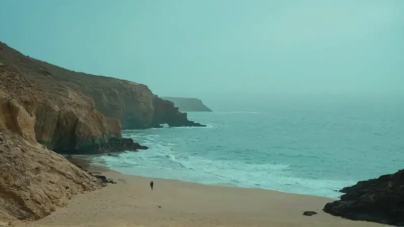 Una ballena colosal emerge junto al hombre