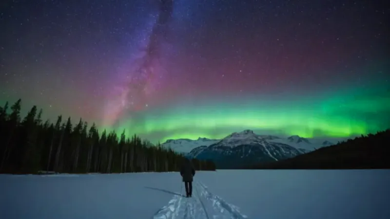 Una figura contempla la aurora sobre nieve