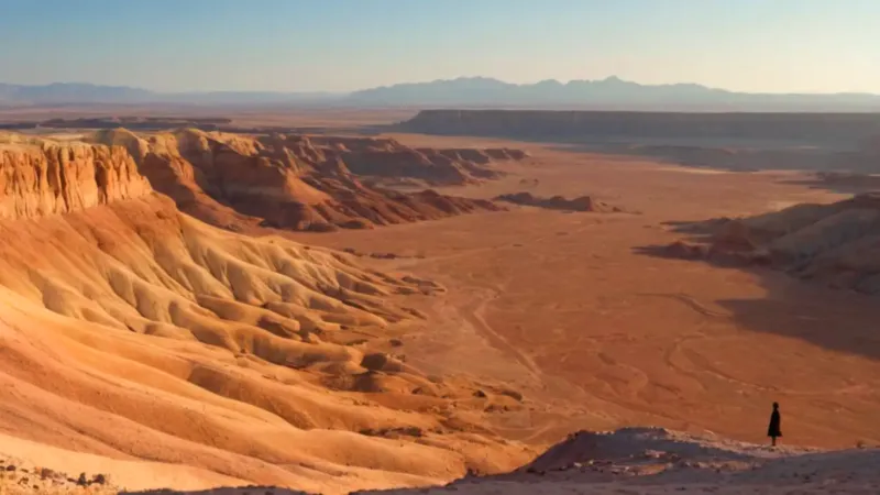 Una figura contempla el desierto al atardecer