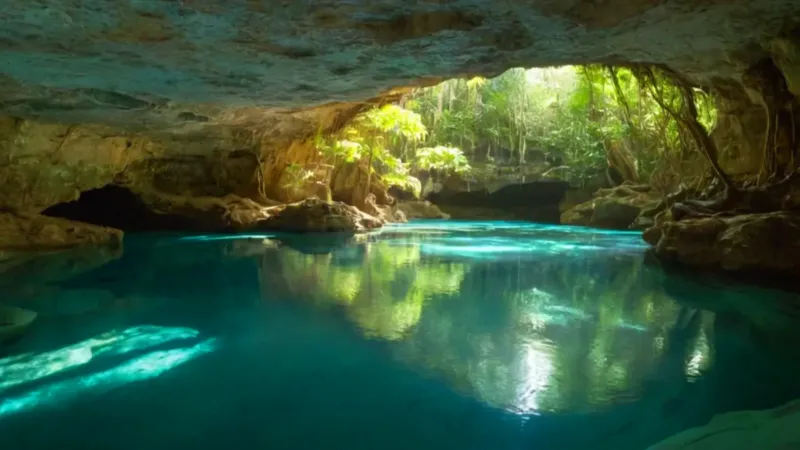 Un haz de luz ilumina un cenote