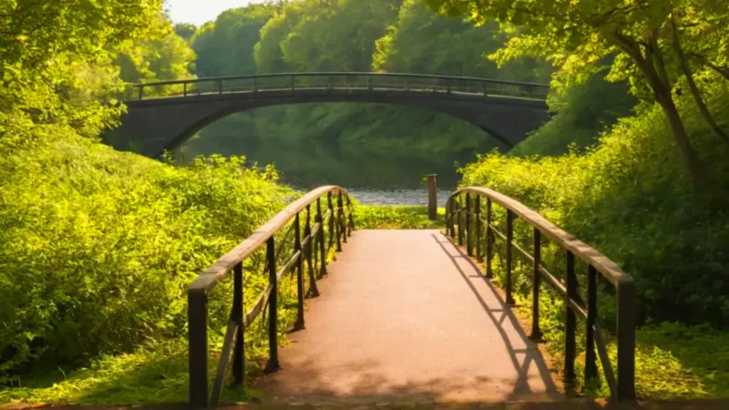 Silueta en el puente mira la ciudad