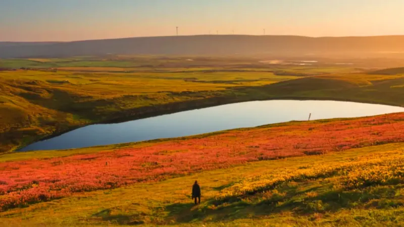 Soledad ante un paisaje moderno al atardecer