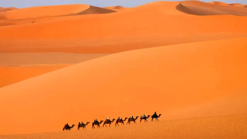 Caravana en el desierto al atardecer