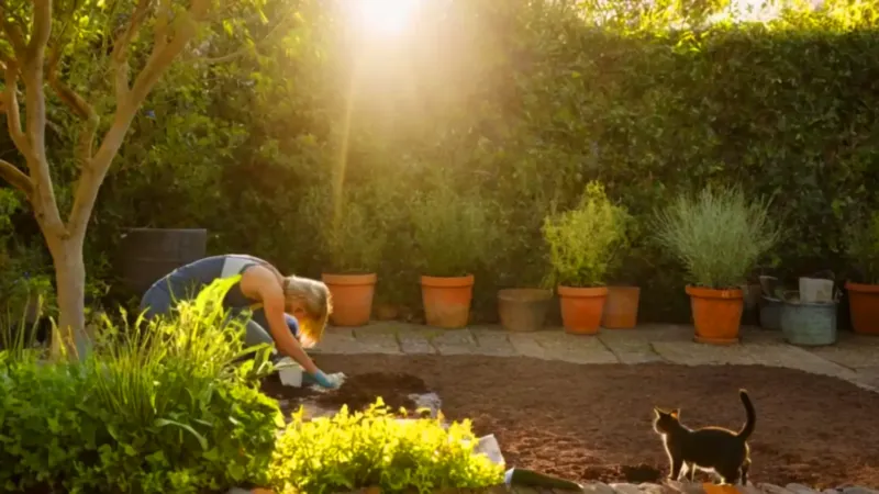 Una persona cuida su jardín soleado