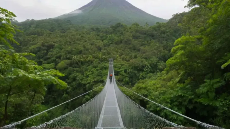 Alguien cruza un puente en la selva