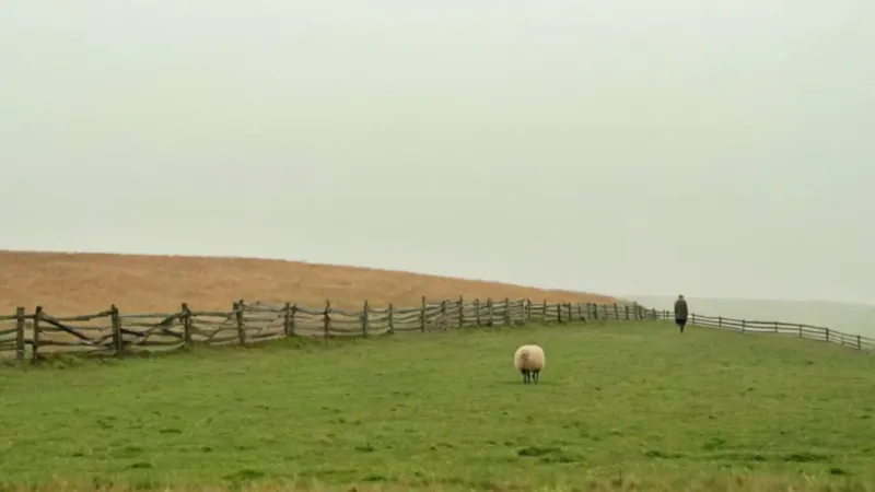 Un anciano contempla el paisaje en calma