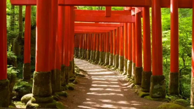 Camino de toriis rojos entre sombras
