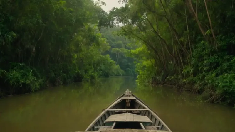 Navegando el sereno río de la selva