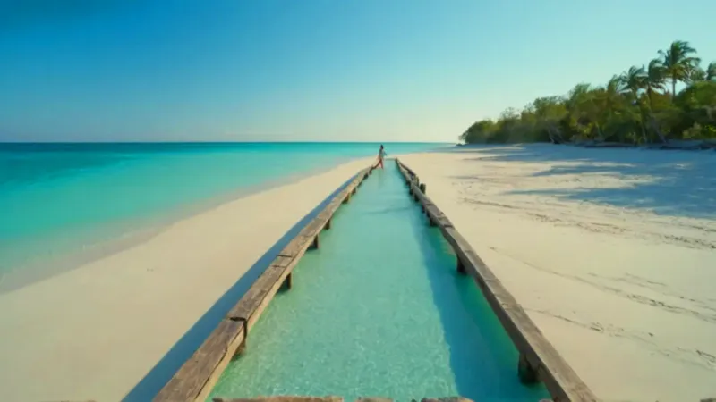 Muelle solitario en un mar paradisíaco