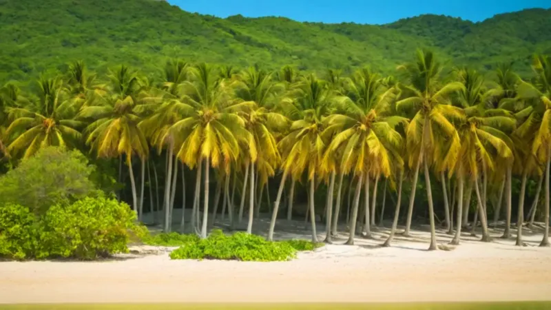 Un sereno paisaje de playa tropical